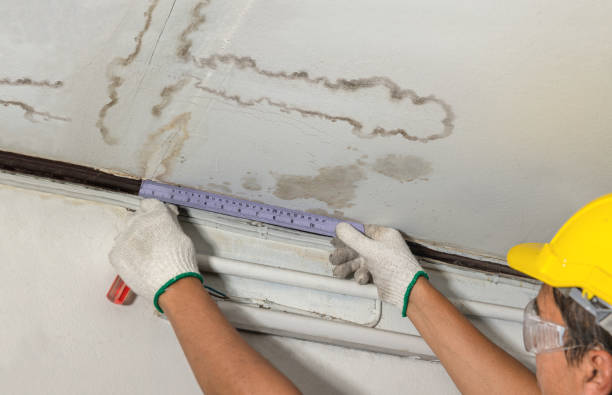 Reliable Mold Remediation contractor in Allen, MI by Local Water Damage Repair